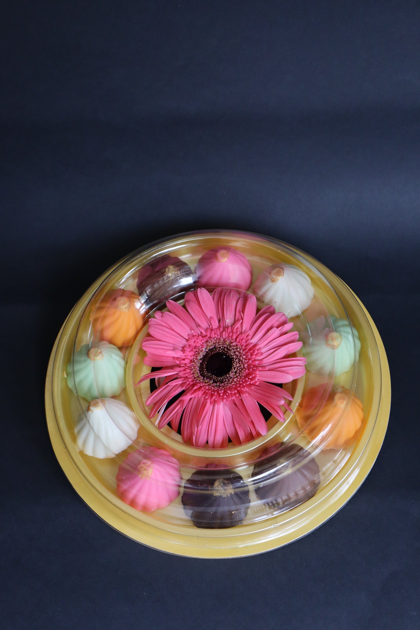 11 PCS RAINBOW MODAK (2)