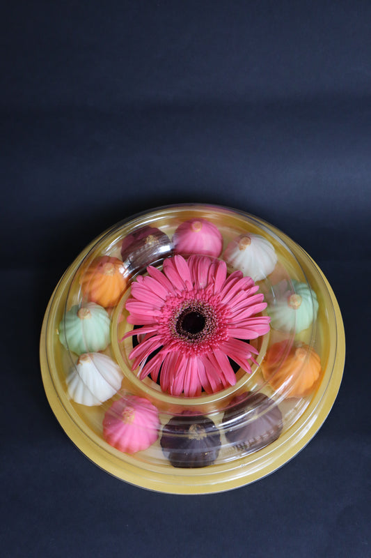 11 PCS RAINBOW MODAK (2)